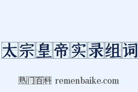 太宗皇帝实录组词是什么意思的图片